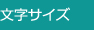 文字サイズ